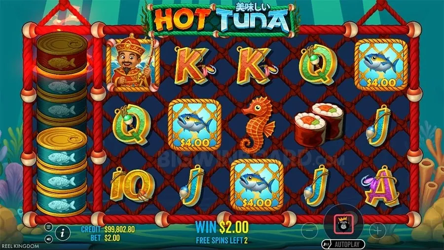 jackpot meter Choosing the Right Casino Game